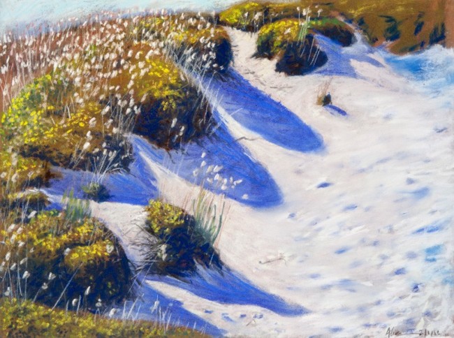 Pastel on card
unframed
295 x 395 mm
From the 'Papamoa Path' series Alice Blackley