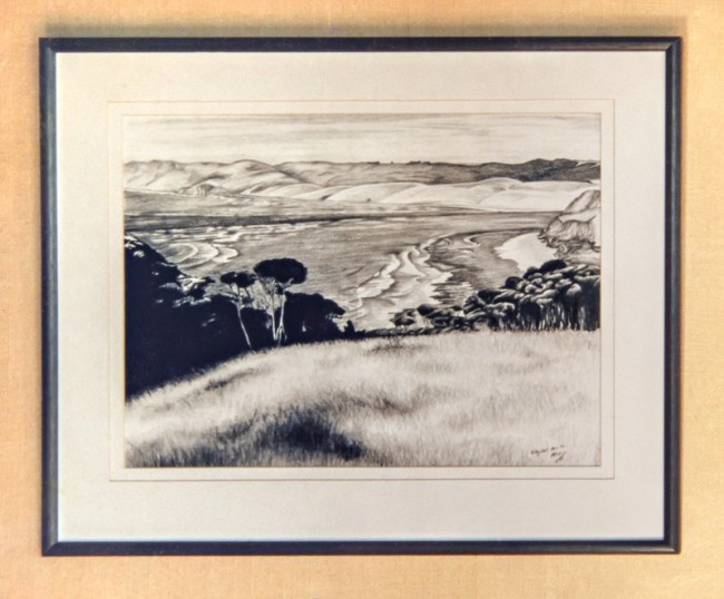 Pencil on paper
Framed
I drew this when I was at a Don Binney weekend workshop Alice Blackley
