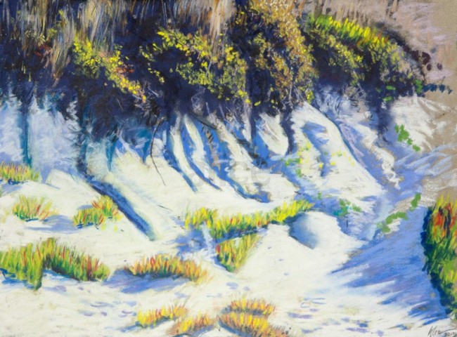 Pastel on card
unframed
295 x 395 mm
from the 'Papamoa Path' series 2013 Alice Blackley