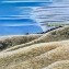 Pastel on cardboard
710 x 510 mm 
2025
unframed
(price in NZ dollars)