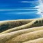 Oil on canvas
520 x 840 mm
2025
(price in NZ dollars)