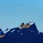 Oil on canvas
600 x 1200 mm
2025
(price in NZ dollars)