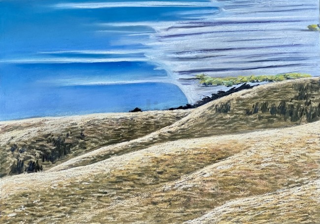 Pastel on cardboard
710 x 510 mm 
2025
unframed
(price in NZ dollars) Alice Blackley