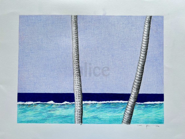 Coloring pencil on paper
Framed
61 x 52 cm
2024 Alice Blackley