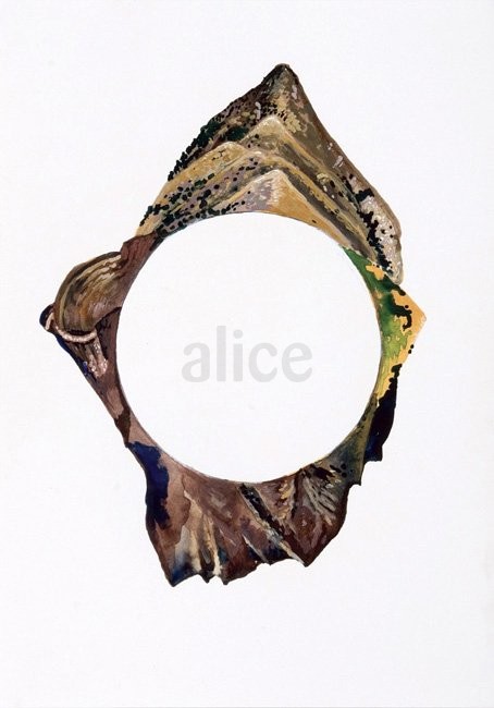 210 x 150mm, watercolour Alice Blackley