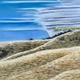 Pastel on cardboard
710 x 510 mm 
2025
unframed
(price in NZ dollars)