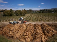 Domain Road Vineyard - All in a day's work - <p></p>