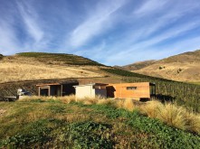 Domain Road Vineyard - Harvest 2017 (3) - <p></p>