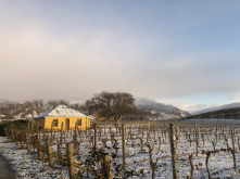 Domain Road Vineyard - Winter wonderland - <p></p>