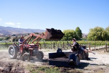Domain Road Vineyard - Images of the end of summer - <p>Is Fiona learning compost ballet?</p>