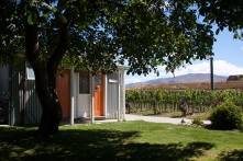 Domain Road Vineyard - Images of Summer - <p>Looking out on the vineyard.</p>