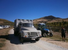 Domain Road Vineyard - Harvest 2019 Defiance Vineyard - <p></p>