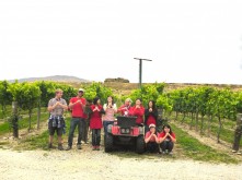 Domain Road Vineyard - The international face of wine! - <p></p>