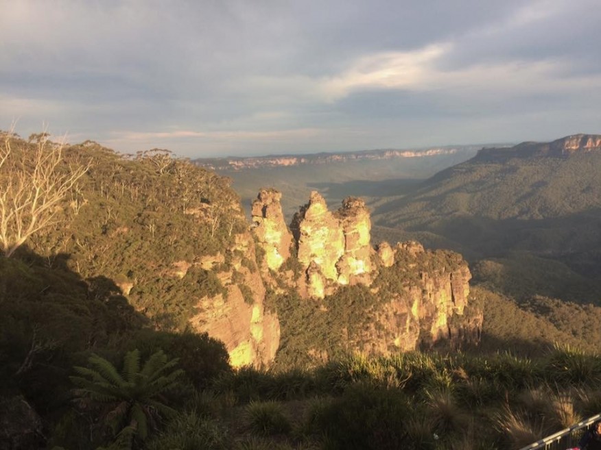 Blue Mountains Day Tour