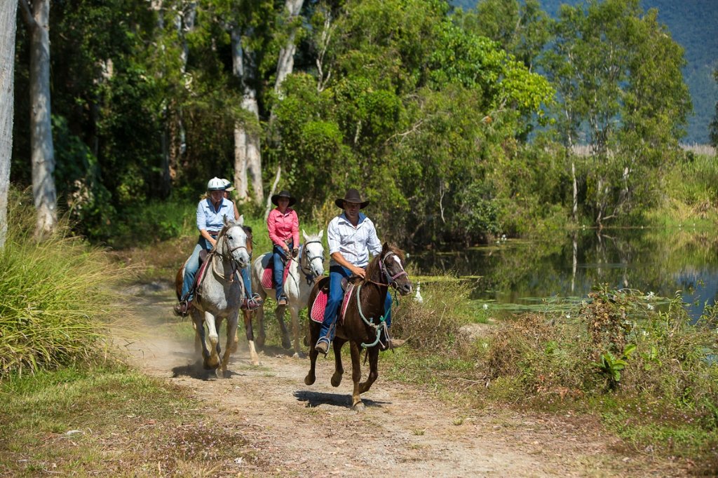Cairns horse riding tours