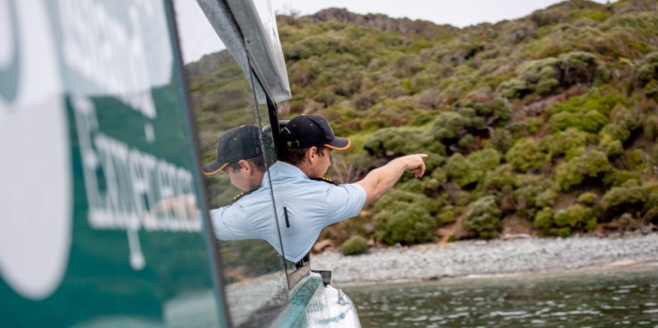 Ferry to Stewart Island