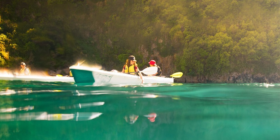 Kayakers exploring the turquoise waters of Golden Bay in Abel Tasman National Park
