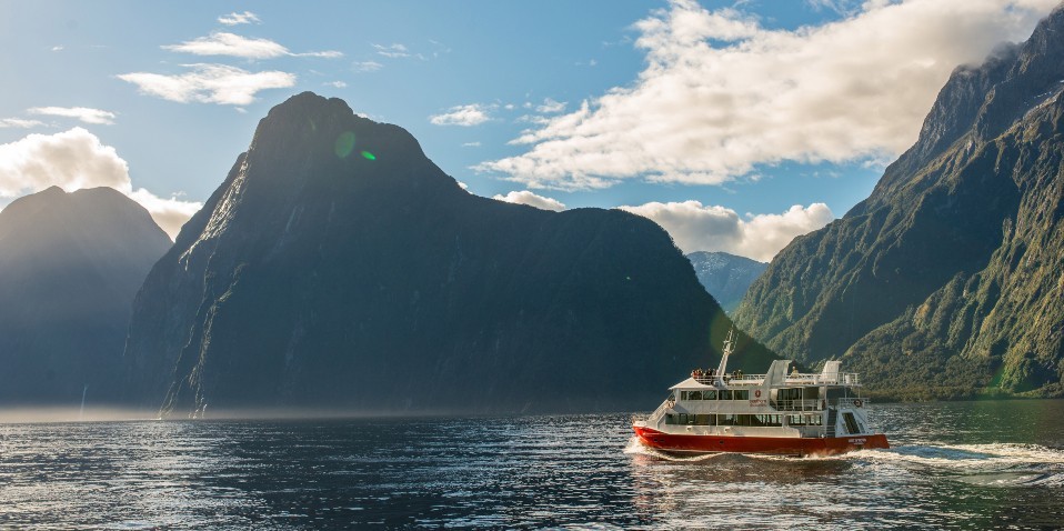 Southern Discoveries Nature Cruise in Milford Sound (2)