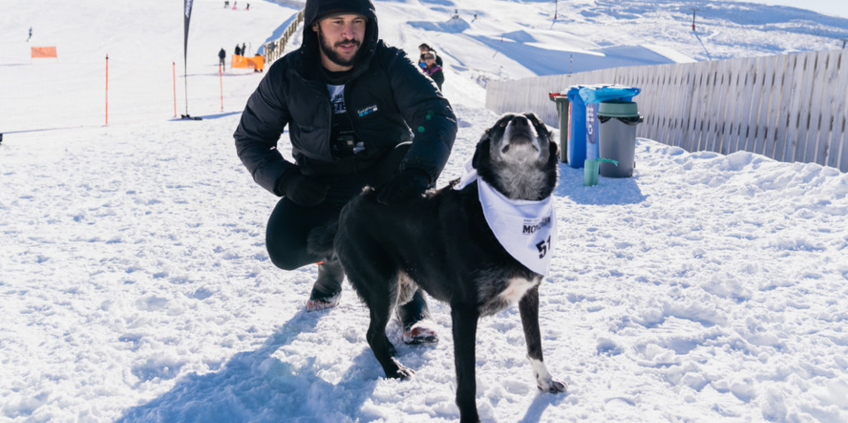 Dog Derby on Coronet Peak Queenstown