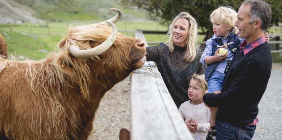 Family and highland cow on Walter Peak farm tour Queenstown