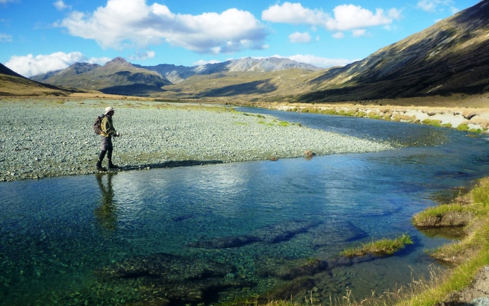 Queenstown fly fishing