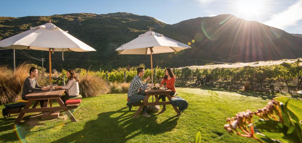 Queenstown Wine Tasting Tour