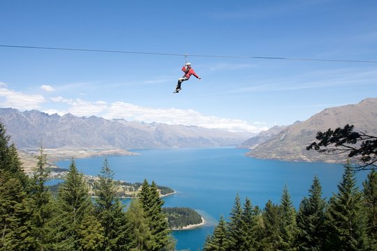 Ziptrek Queenstown